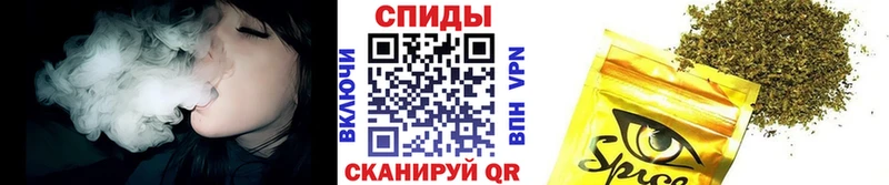 Бутират буратино Кстово