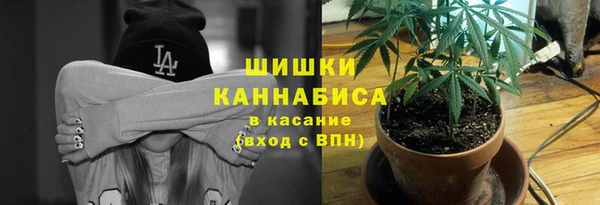 дурь Белоозёрский