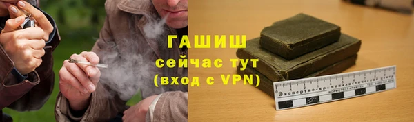 PSILOCYBIN Белокуриха