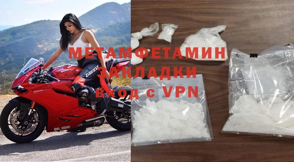 PSILOCYBIN Белокуриха